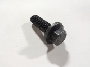 View Flange screw Full-Sized Product Image 1 of 10